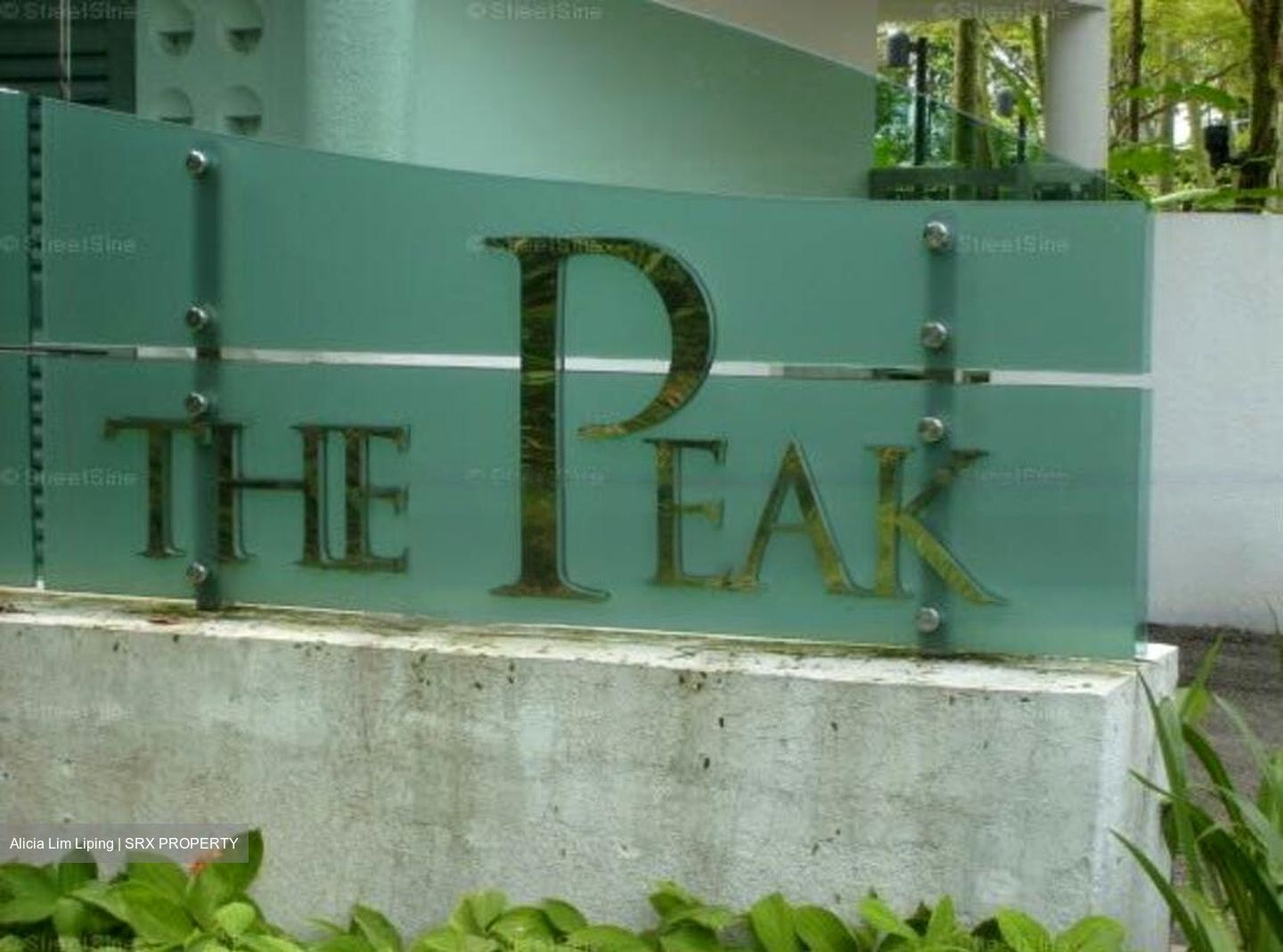 The Peak (D5), Condominium #467775131